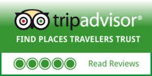 Trip Advisor Logo