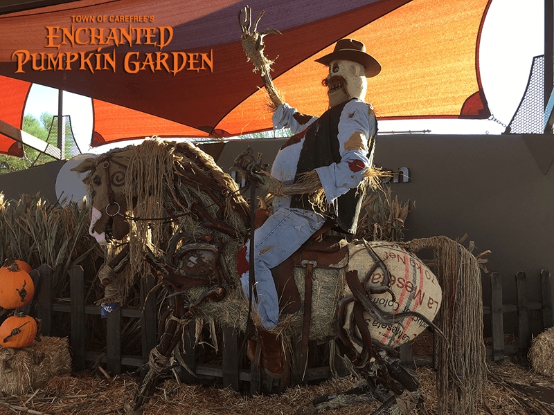carefree enchanted pumpkin garden scarecrow with Watson's cowboy hat