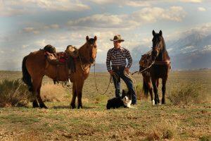 Trent Peterson w Horse