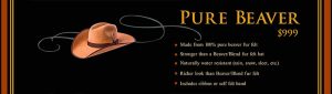 Pure-beaver-hat-price