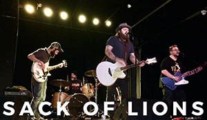 Sack-of-Lions