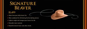 Signature-beaver-hat-price