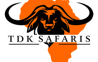 TDK safari